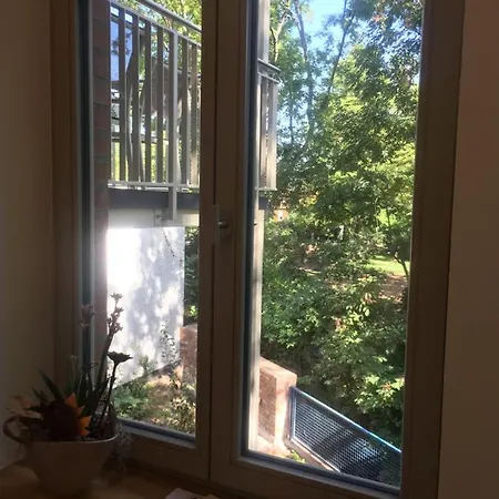 Strauss Am Botanischen Garten In