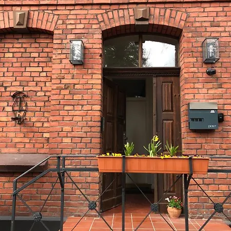 Strauss Am Botanischen Garten In *